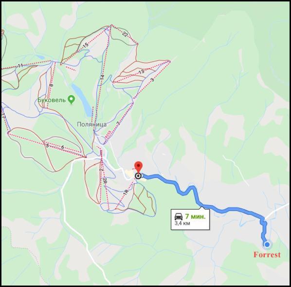 Forrest Hotel Bukovel Eksteriør bilde
